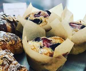 Fresh blueberry muffins