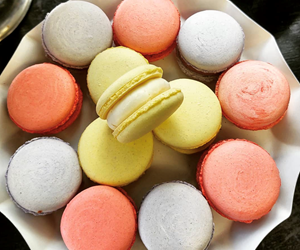 French macaron cookies